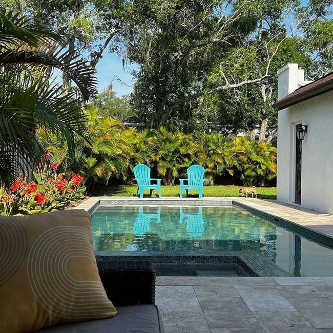 Tropical Plants Frame Pool Paradise