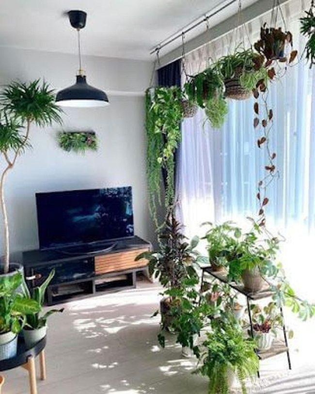Ceiling Vines Define Modern Spaces