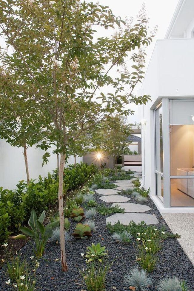 Garden Pathways Through Dark Gravel