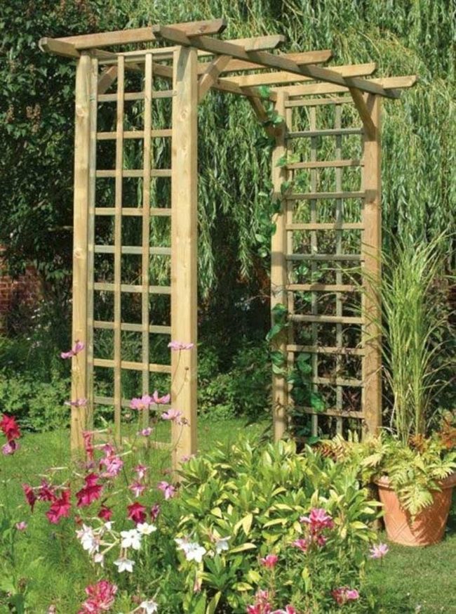 Wooden Pergola With Climbing Vines