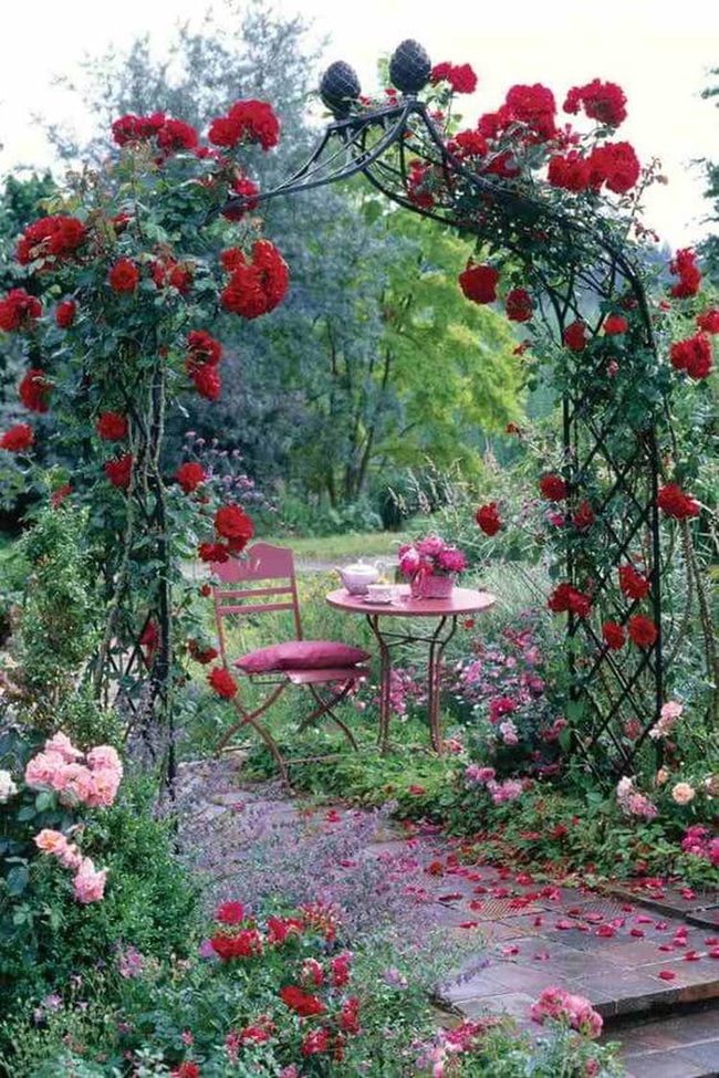 Red Rose Garden Retreat