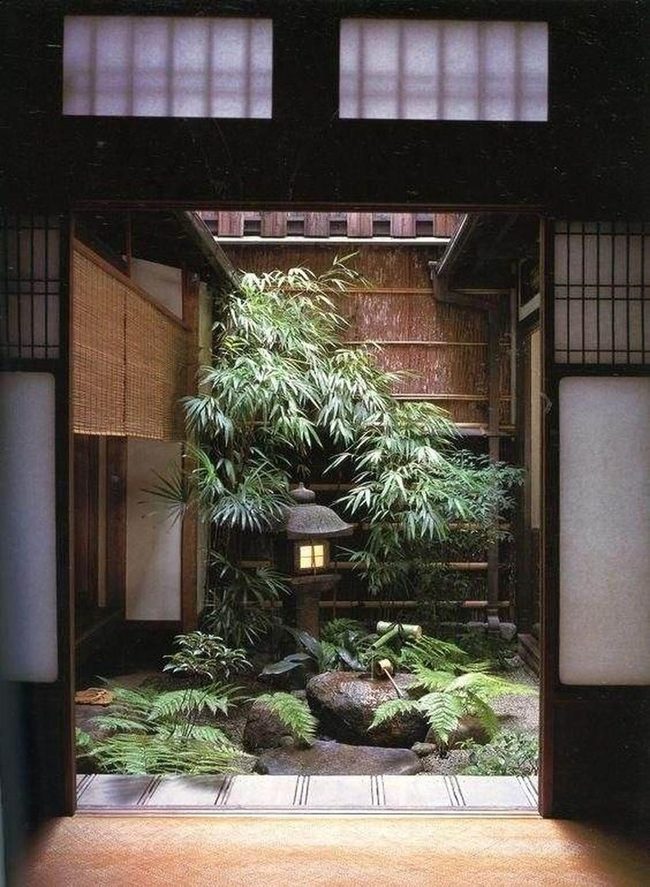 Green Bamboo Garden Pathway