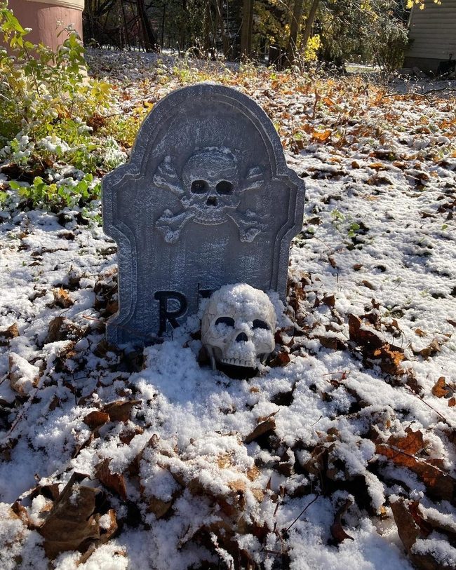 Skull Tombstone Frozen Winter