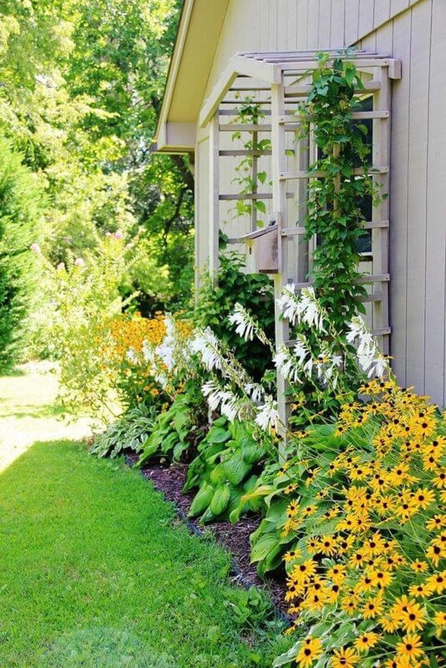 Blooms, Rocks, And Thriving Green
