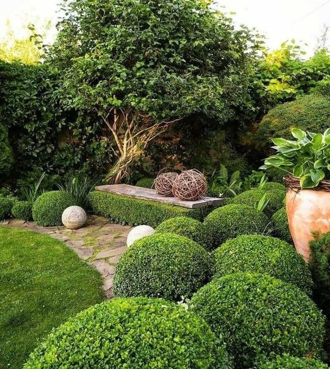 Green Garden Sanctuary With Stone Paths