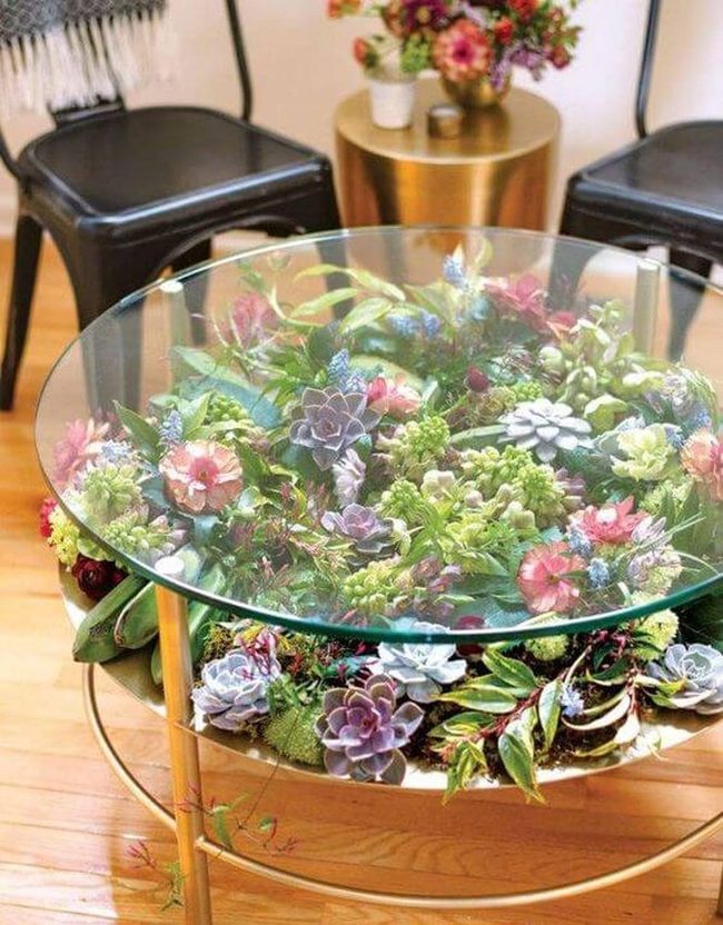 Living Plants Behind Glass