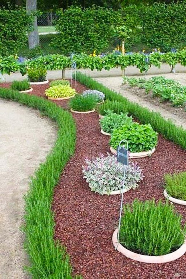 Organized Garden Rows Fresh Produce