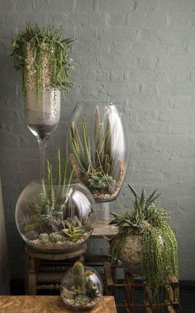 Glass Vessels Overflowing With Living Green