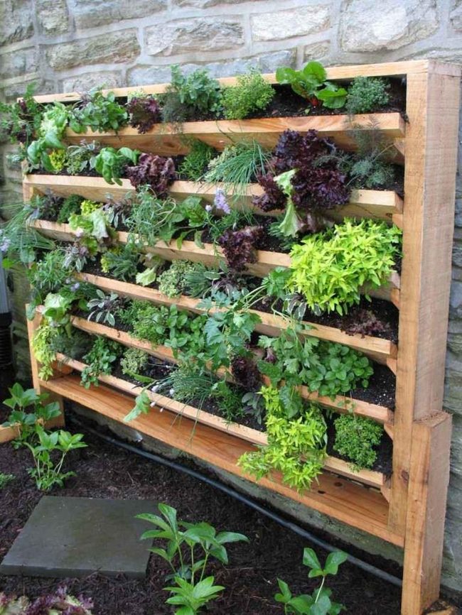 Vertical Stacked Garden Layers