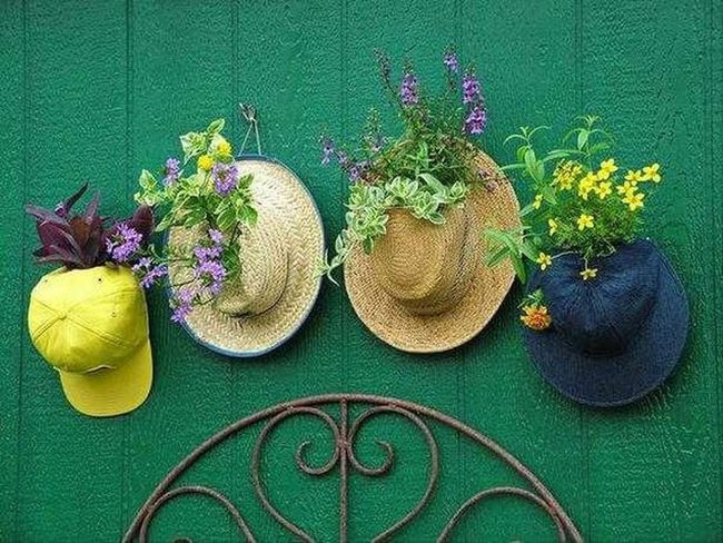 Plants Blooming From Colorful Hats