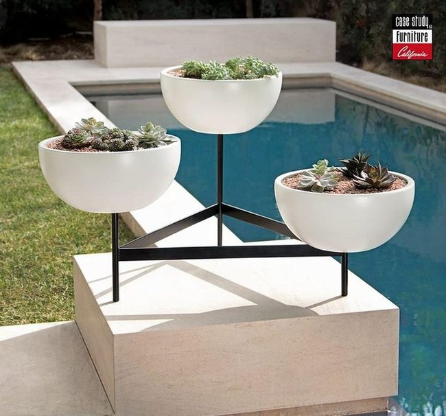 White Planters Green Succulents Pool