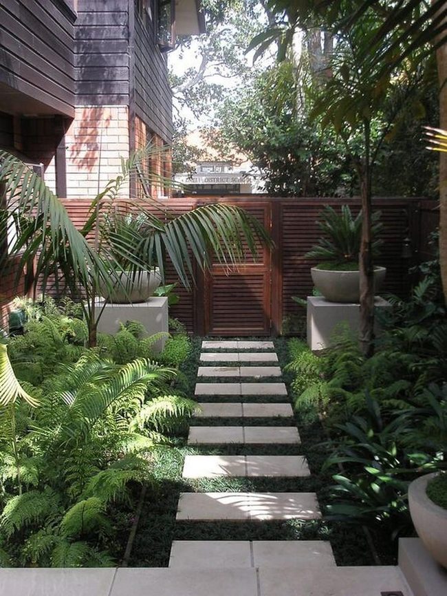 Green-Walled Private Garden Sanctuary