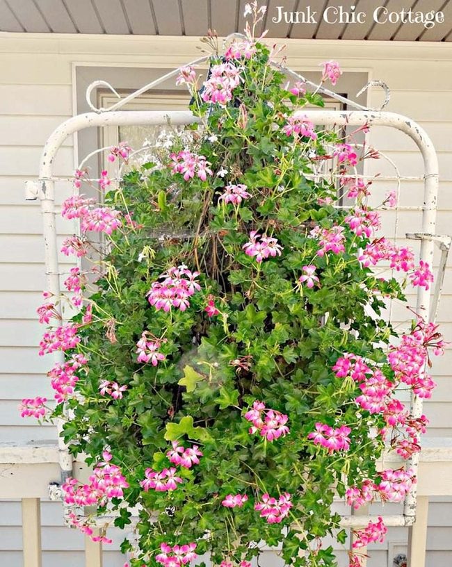 Antique Gates Frame Living Gardens
