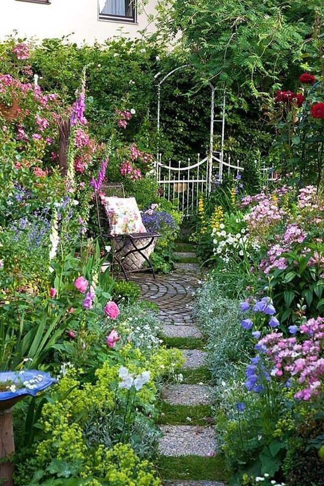Colorful Blooms Along Stone Pathways