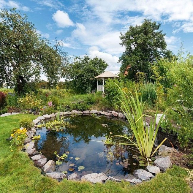 Stone-Lined Pond With Natural Filtering Plants