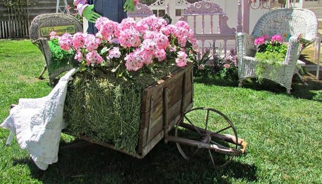 Vintage Wheelbarrow Bursting With Spring Blooms