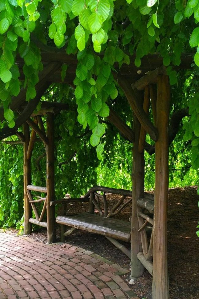 Green Bench Hideaway Under Tree