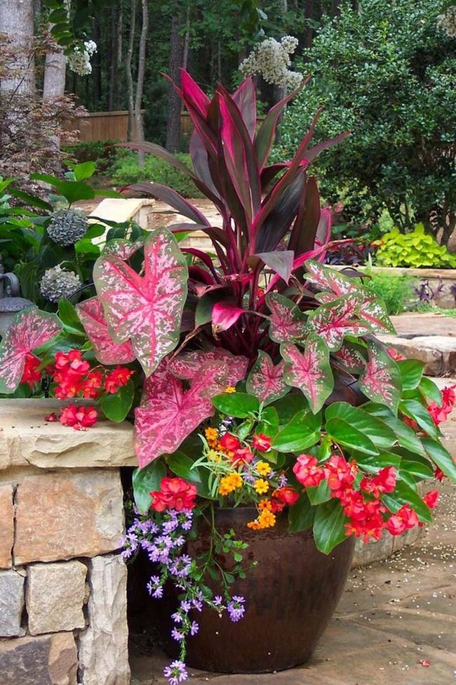 Mixed Flowers And Foliage In One Pot