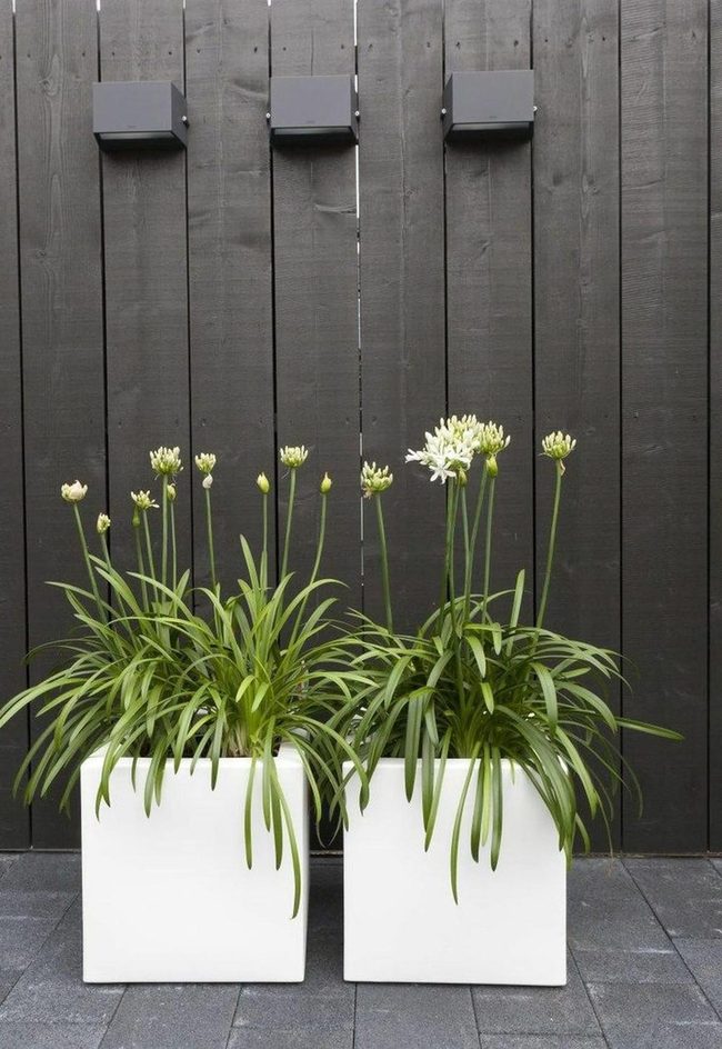White Planters Against Charcoal Fence