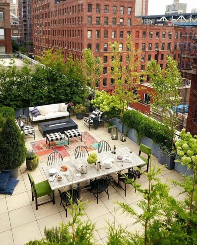 Tropical Rooftop Urban Oasis