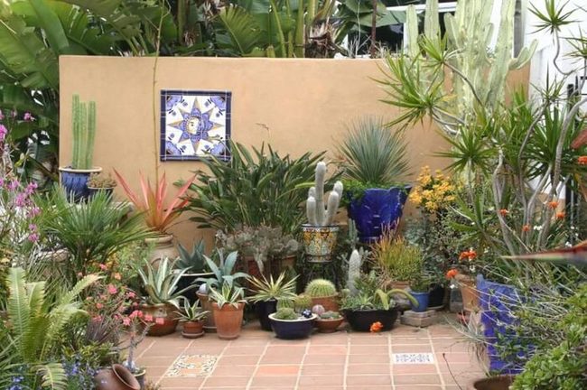 Low-Maintenance Succulents For Sunny Porches