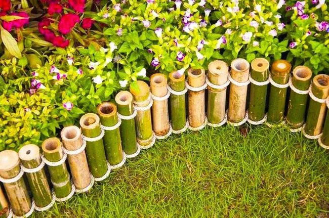Bamboo Borders With Cascading Plants
