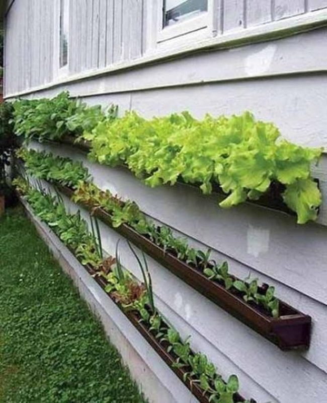 Emerald Wall Garden System