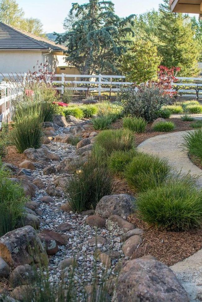 Dry Creek Path Through Native Grasses