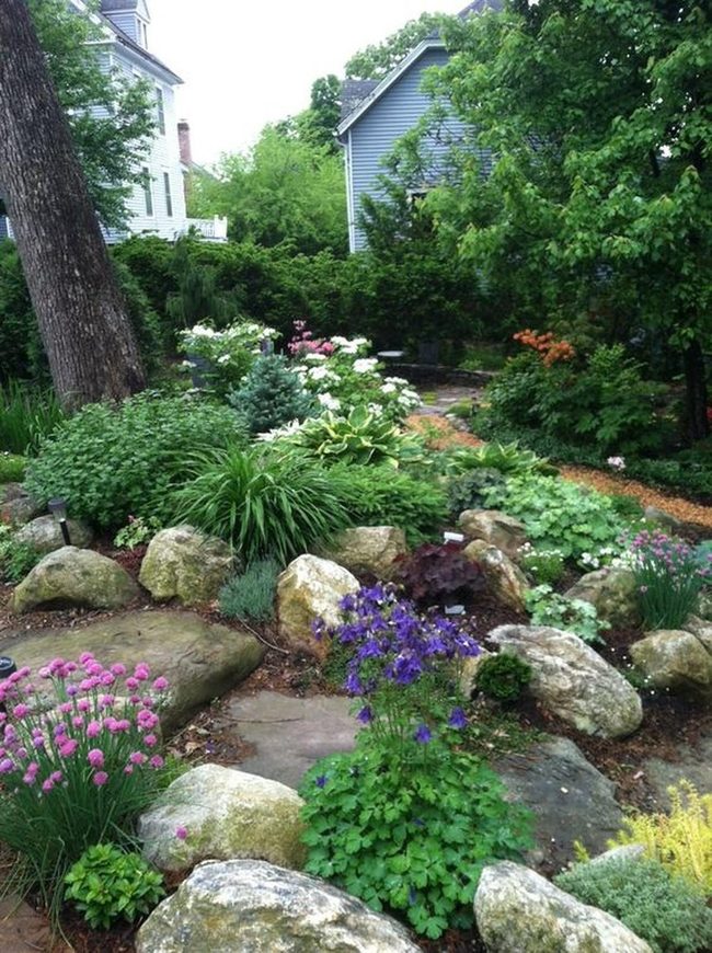 Purple Petals Among Stone Beds