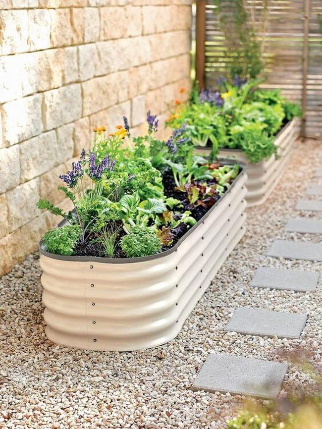 Colorful Raised Beds Harvest Beauty