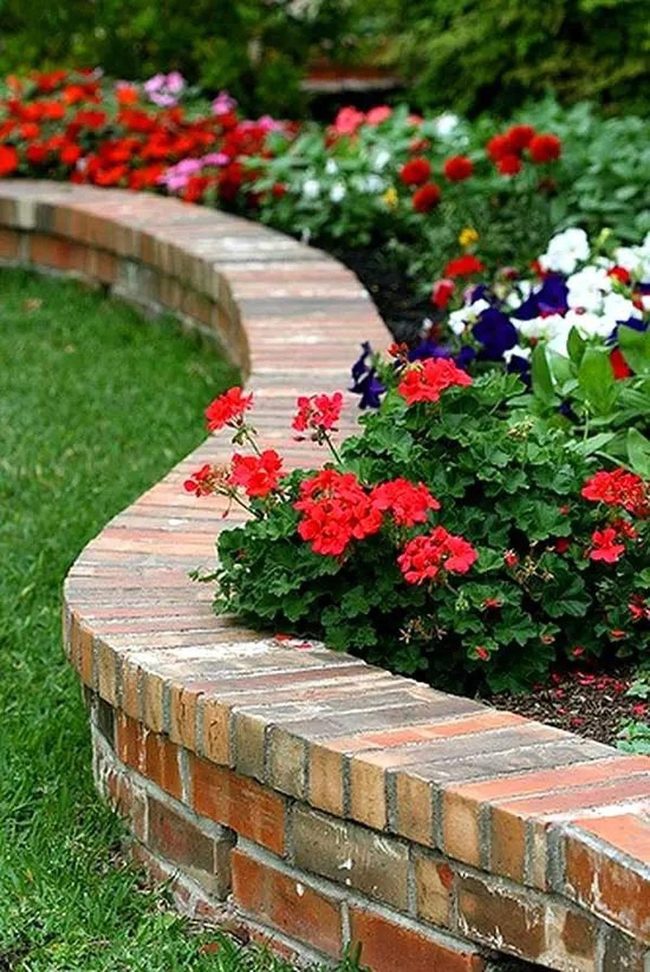 Red Flowers Against Deep Green