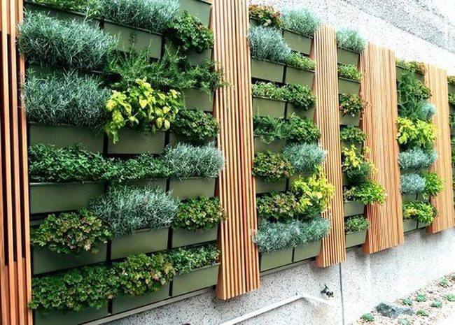 Vertical Herb Wall For Compact Spaces