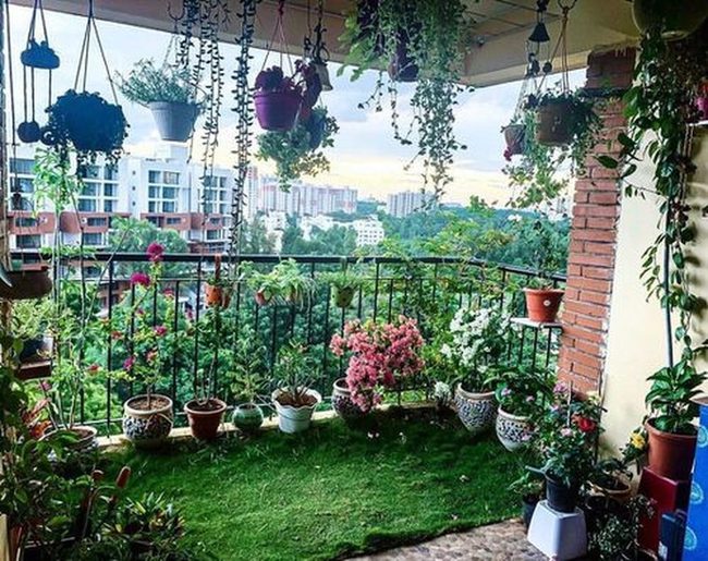 Urban Jungle Balcony Oasis