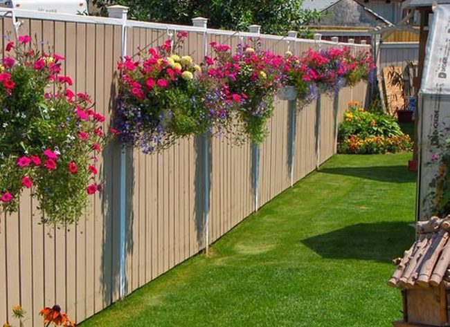 Cascading Petunias Transform Plain Fences