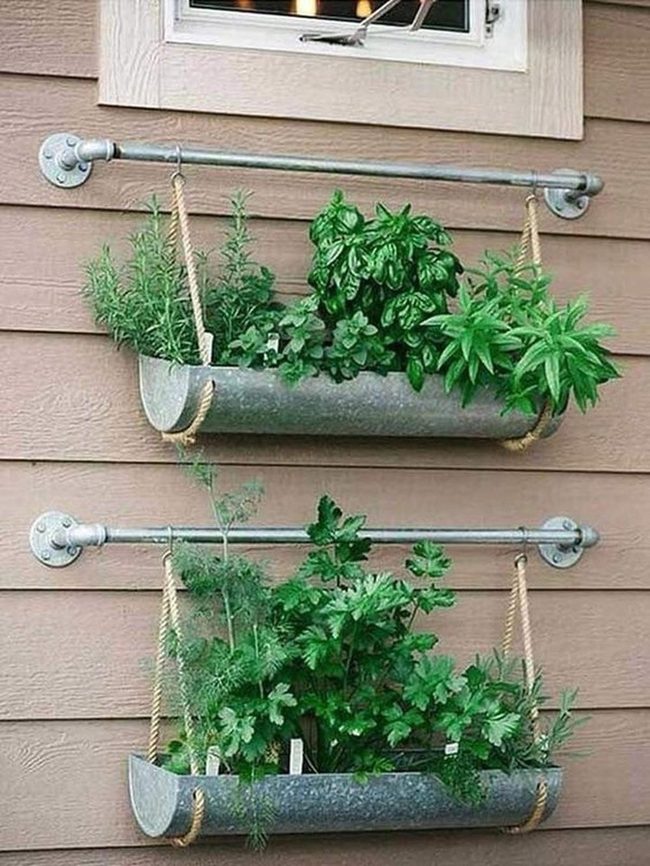 Hanging Herbs In Metal And Rope