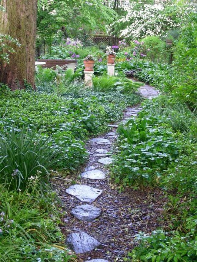 Green Stone Garden Walkway