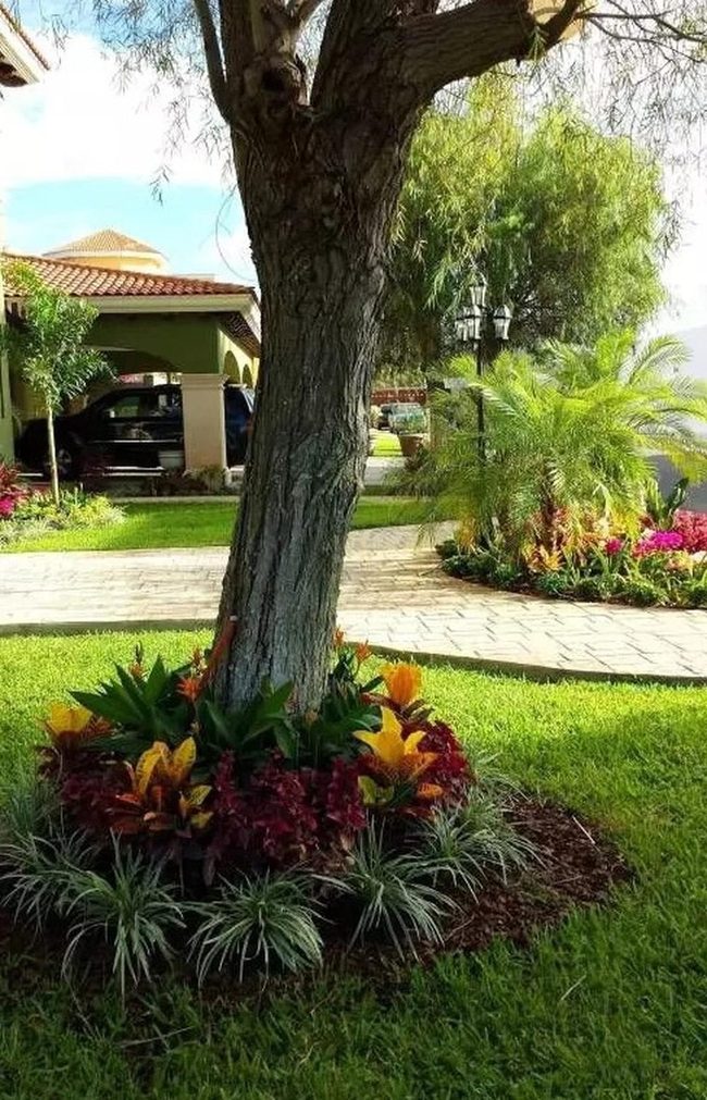 Towering Trees Frame Blooming Garden Paths