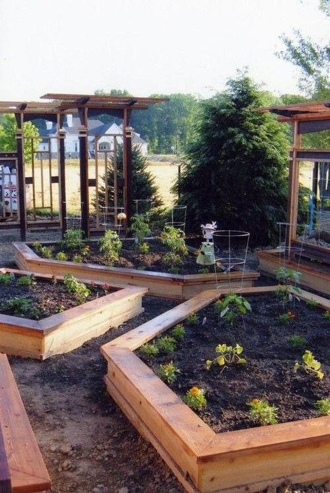 Patterned Flower Beds Vertical Growth