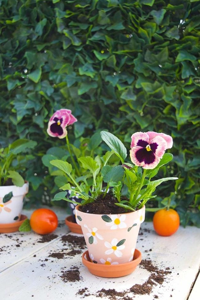 Modern Containers Transform Garden Style