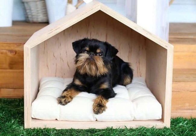 Portable Three-Wall Dog Alcove