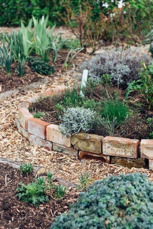 Curved Brick Pathways Through Layered Plants