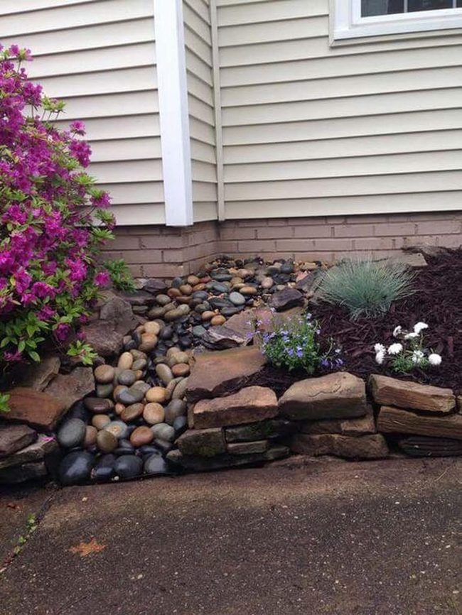 Stone And Drought-Resistant Plant Beauty