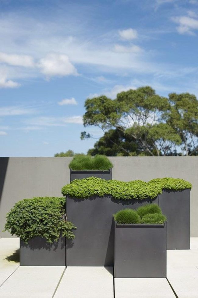Dark Gray Planters, Living Green