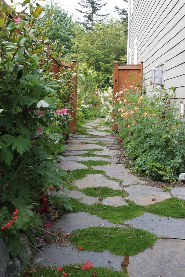 Moss Stone Path Among Bright Flowers