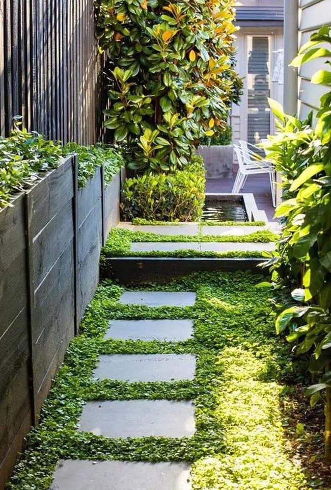 Stone Steps Through Garden Green