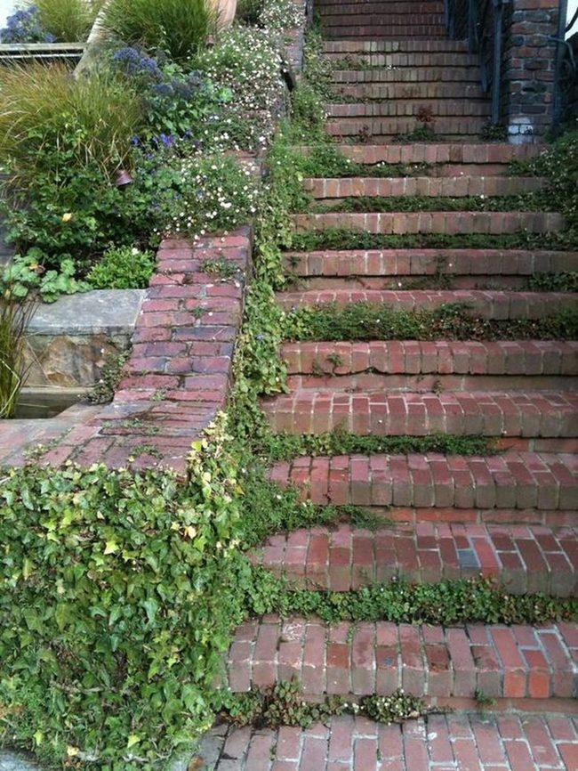 Ivy-Draped Brick Steps Through Green