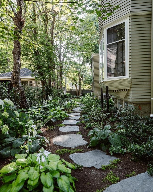 Stone Path Through Ancient Woods
