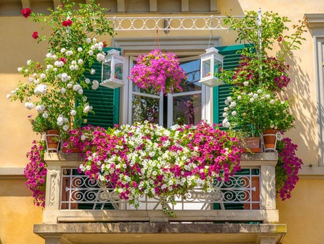 Cascading Blooms Transform Small Balconies