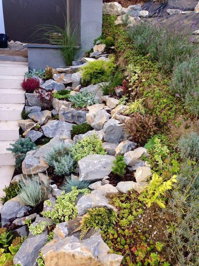 Stone Steps Through Purple-Green Wilderness