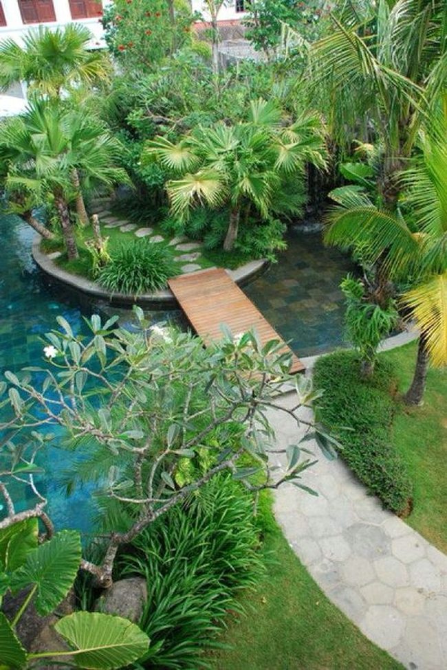 Backyard Water Paradise With Tropical Plants